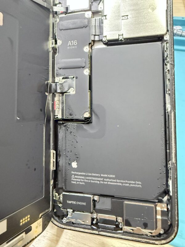 iPhone water damage repair