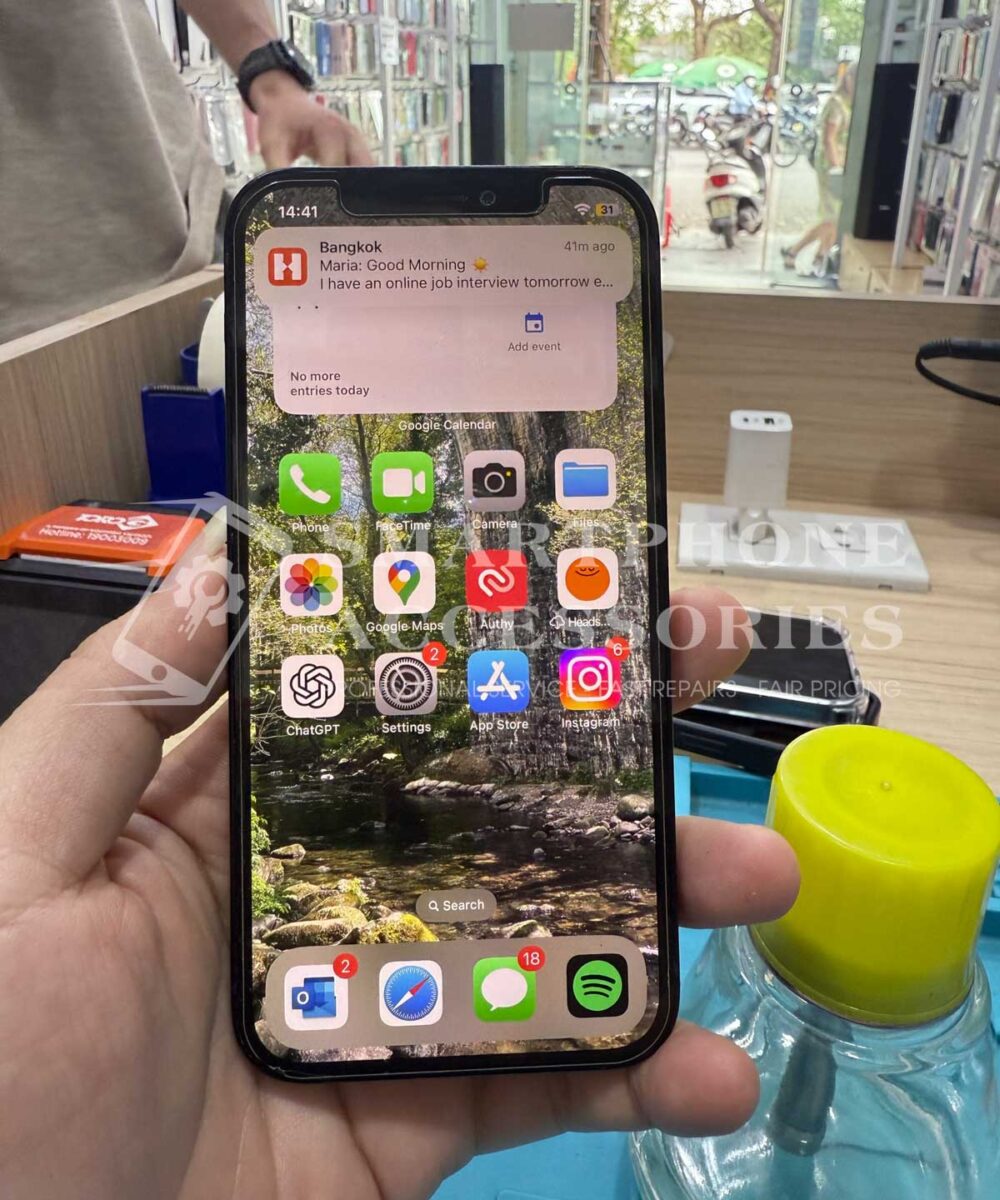 iPhone 12 Water Damage Repair