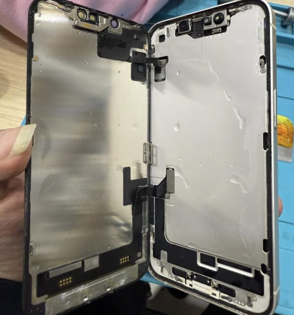Professional Phone Drying Service