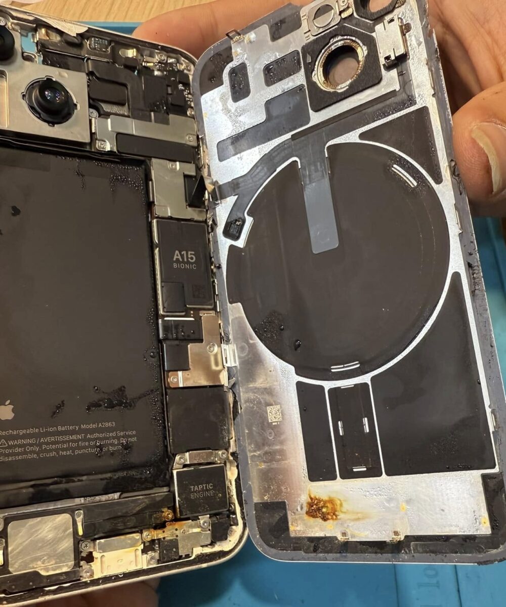 Professional Phone Drying Service