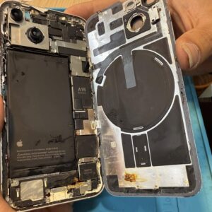 Professional Phone Drying Service