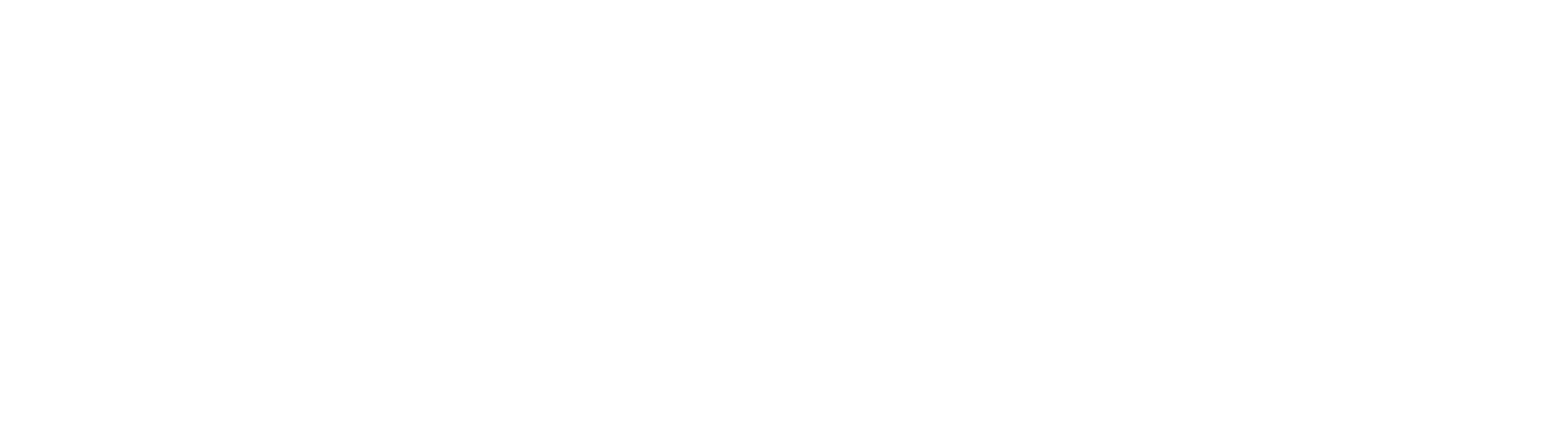 Smartphone Accessories
