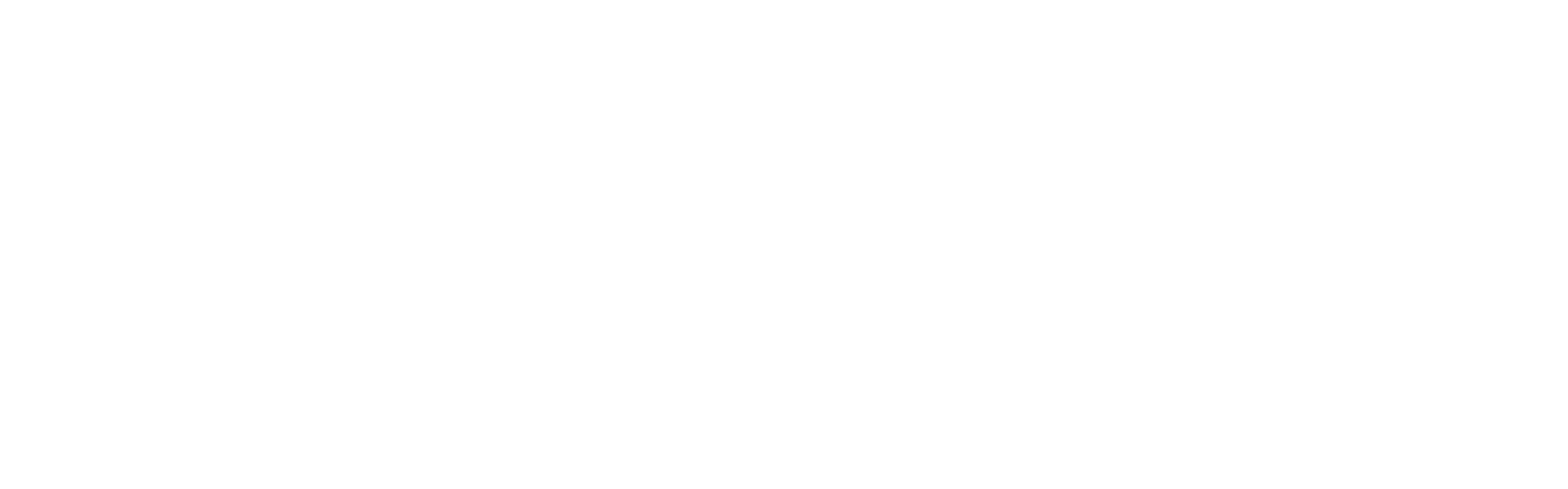 Smartphone Accessories